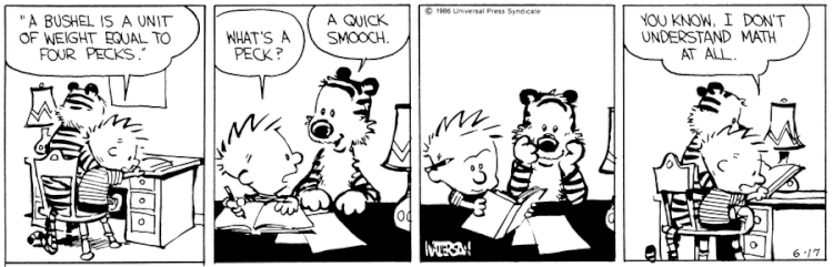 Calvin Hobbes