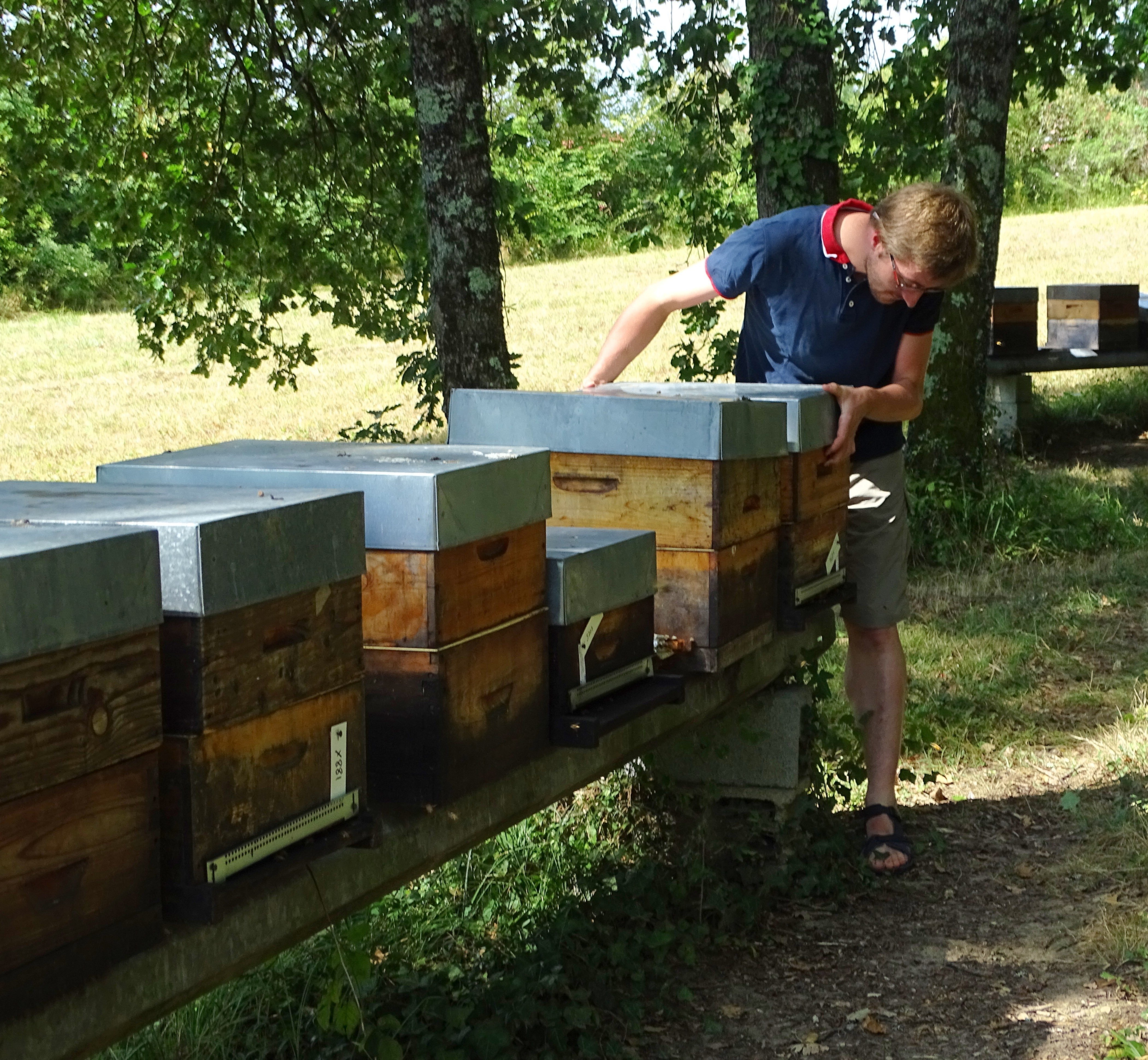 Bastien Mallein avec des abeilles