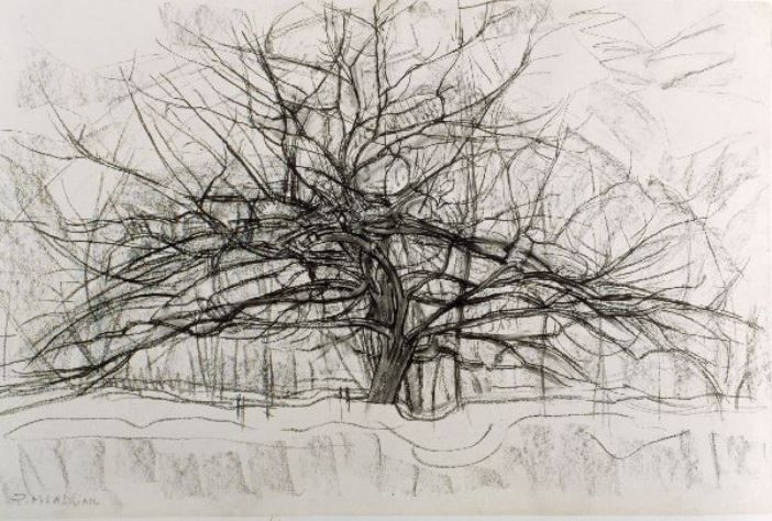 Simplex dans l'∞-opérade de Lie