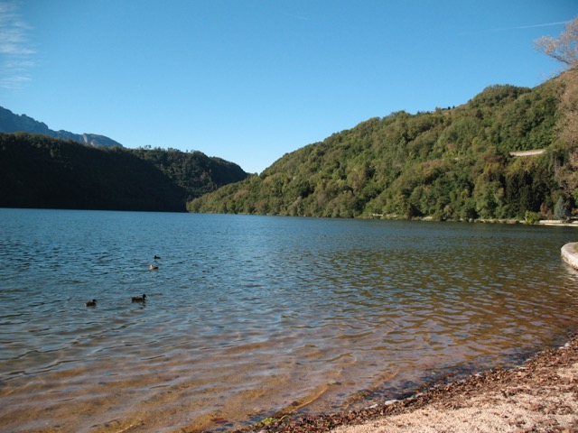 Loading Image