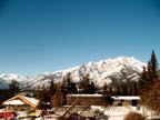 IMG_7543