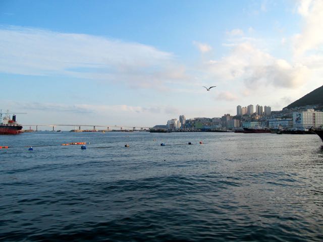 Loading Image