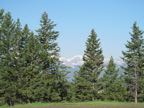 IMG_0413.JPG